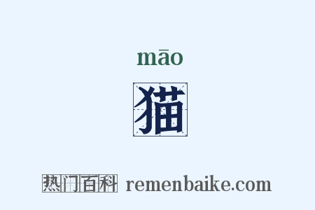 猫是什么意思的图片
